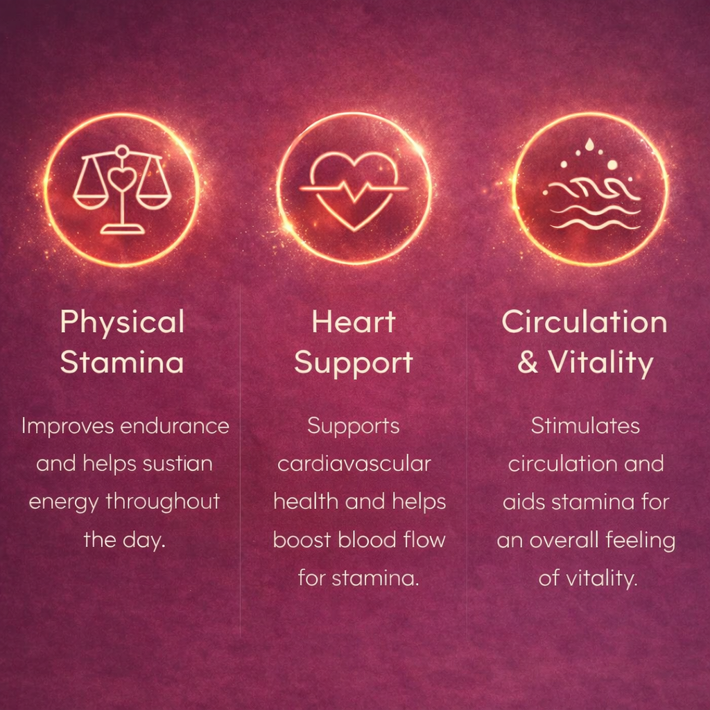Daily Energy+ - Beet Root Gummies