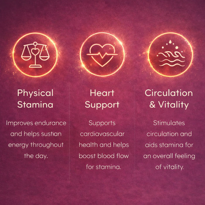 Daily Energy+ - Beet Root Gummies